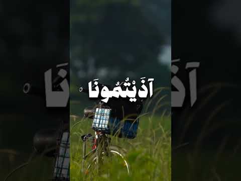 #قرآن #آية_الكرسي #سورة_البقرة #الطمأنينة #السكينة #الله #short #quran #islam #fyp #الراحة_النفسية