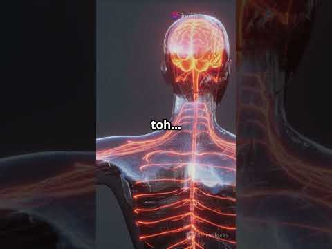 Spinal Cord या Vajra Nadi 5000 साल पहले ही Brain Network खोज लिया था! #shorts