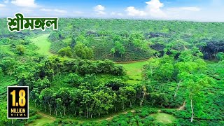 সম্পদে সৌন্দর্যের অনন্য শ্রীমঙ্গল || Sreemangal | Moulvibazar Sylhet || @PanoramaDocumentary