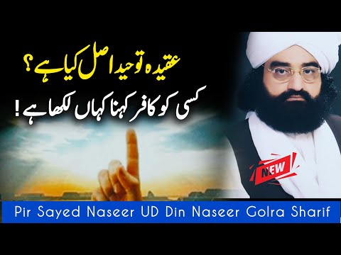 Asal Tawhid kiya Hai || Reply || Peer Naseer Ud Din Naseer Golra Sharif