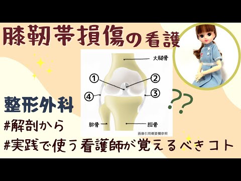 新人ナース、ACLの役割とか言えなきゃピンチ【膝の靱帯】☆＃看護師＃前十字靭帯＃後十字靭帯など