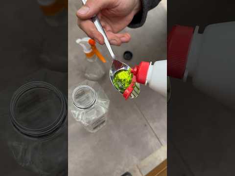 Easy solution to get rid of aphids from roses 🌹 #gardening #gardeningtips #garden #shorts #rose