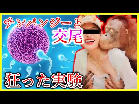 【キメラ】人間とチンパンジーの異種交配実験・狂ったマッドサイエンティストの末路...【学校では教えてくれない】
