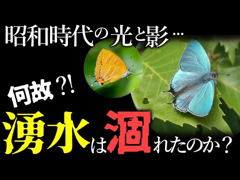 【昭和少年の郷愁】昭和の高度経済成長期に生活は豊かになったが、一方、その陰で少年たちにとってかけがえのないものが永遠に失われた。かつて武蔵野・川越には美しい風景とそこに生きる多様な＂いのち＂があった。