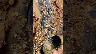 Traditional #goldmining  from black sand earning $9000 a day is easy #goldrush #goldpanning #gold