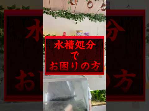 水槽処分にお困りの方は是非ご相談下さい！タイミングが合えば無料お引き取りしております！#動物保護#アクアリウム#水槽処分#金魚