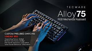 Tecware Alloy 75 - Typing Test