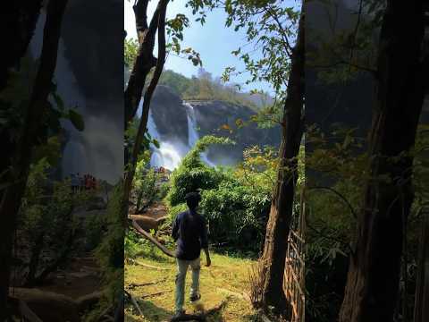 Athirappilly waterfall 😍#shortvideo