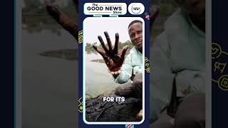 Good News About Planet Earth | Episode 36 | #goodnewsshow #climateaction #planetearth #newswithnavya