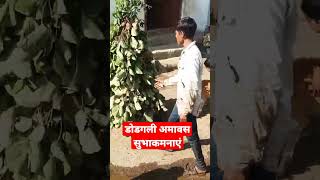 #shortyoutube #shortvideo #dance #viral #adivasi_status #अमावस्या_स्टेटस