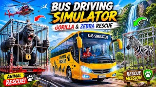 Can I Save the Gorilla & Zebra? 🦍🦓 Bus Simulator Gameplay