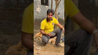 😭I buried my phone in the ditch #rakeshkevlogs #minivlog #shortfeed #shortsviral #phone #ditch