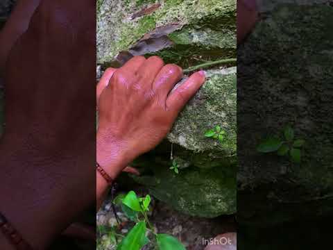 Hidden Gold Found Inside This Rock! 😳✨ #goldhunting #treasurefind #goldnugget #shorts