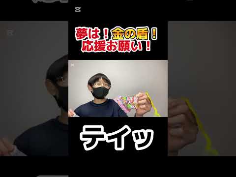 【世界最長】これ固定にします！#vlog #shorts #手越祐也