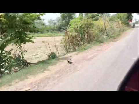 Doston yah dekhiae Kitna badhiya hai Mausam