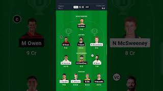 HEA vs HUR Dream11 Prediction, Brisbane Heat vs Hobart Hurricanes Dream11 Team Prediction, BBL 2024