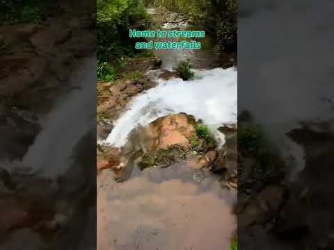 Charmadi ghat during monsoon..... #youtubeshorts #viral #new #monsoon #beautiful