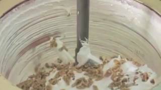 Come si fa il torrone sardo?
