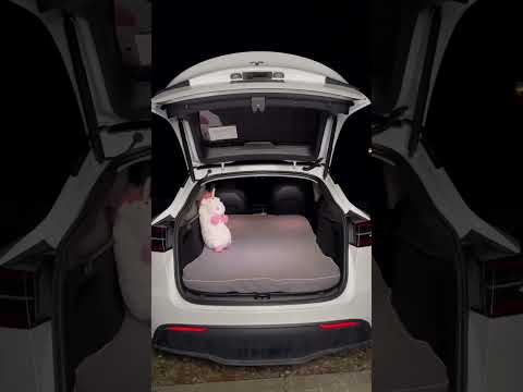 【Vlog】Tesla Model Y Car Camping 🚗🏕️ #tesla #teslamodely #car #camping #outdoor #trending #outdoor