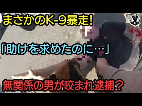 警官のK-9（警察犬）がまさかの暴走して制圧！“助けも求められず”…無関係男を咬み逮捕？【ボディカメラ】【アメリカ警察密着】