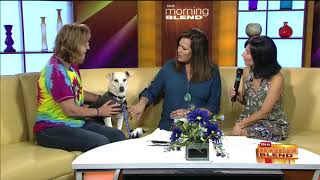 Everyone’s Talking About ThunderShirt