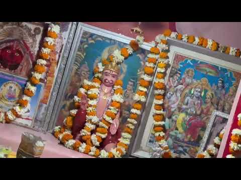 हनुमान जन्मोत्सव  प्रोग्राम तोलियासर / गांव तोलियासर