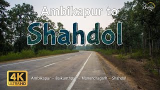Ambikapur to Shahdol | Ambikapur to Bandhavgarh - EP1 | Baikunthpur, Manendragarh | 4K Drive
