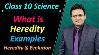 What is Heredity Class 10 Science Ch 9 Heredity and Evolution
