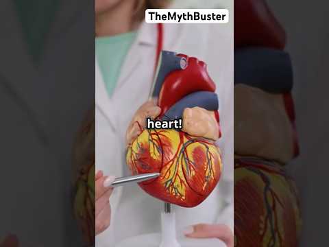 Monitor Your Vital Organs Like a Pro! #healthfulliving #science #healthyeating #facts