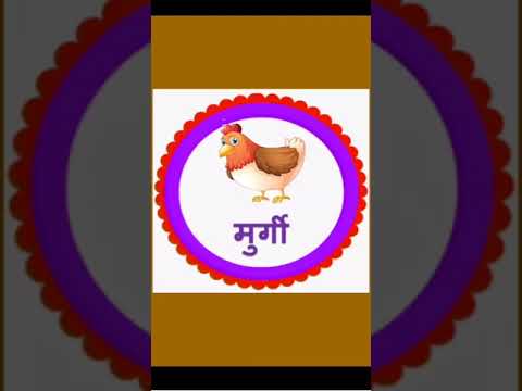 Childlearnkids #officaillearning #Englishalfabet #kidslern पक्षियों के नाम हिंदी में 👍 #short