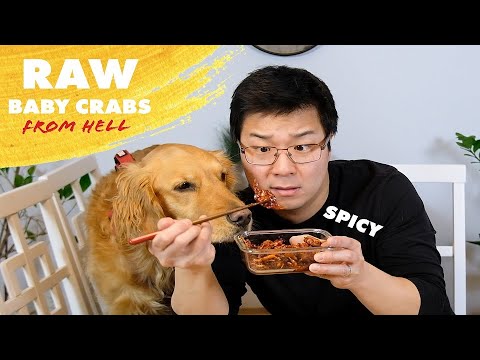 THE LESSER KNOWN KOREAN FOODS | Ep. 2 Spicy & Raw baby crabs