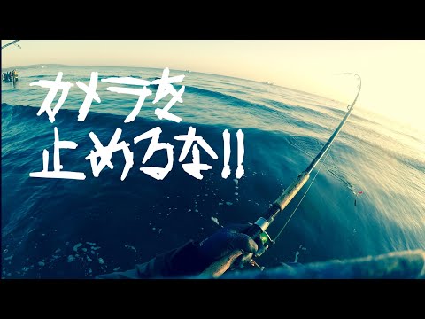 【鮭釣り】オホーツク鮭釣り朝イチ勝負　の巻き