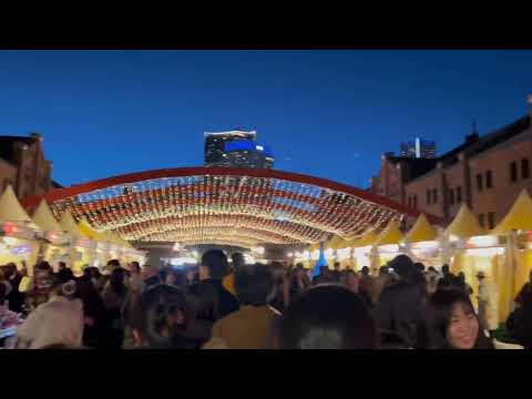 Yokohama Christmas Market Tour 🎅🎡  |  #tokyo #tokyochristmas #christmasintokyo #japan