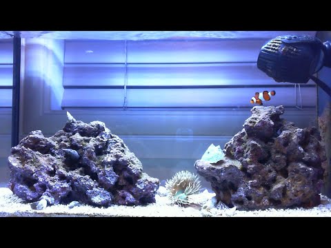 Fluval Evo V Marine