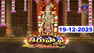 ధనుర్మాసోత్సవం తిరుప్పావై || Dhanurmasotsavam || Tiruppavai || Tirumala || 19-12-2025|| SVBC TTD