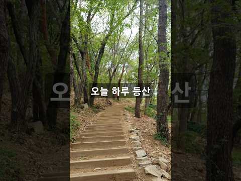 등산어때?(by지브리풍 자연)#브이로그 #등산 #운동