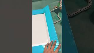 Try this ! File making of hot air balloon. Best #diy #papercardtutorial Suscribe.