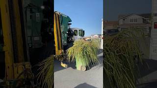 107946 revving on greens 🌴 #wastemanagement #organicwaste #garbagetruck #trashtruck #amrep