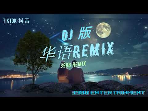 DJ 版 - 《 有你在 》赵露思 ZHAO LUSI《 With You Here》Whatever华语REMIX DJ慢摇 私货版 炸歌 TikTok 抖音 3988 Entertainment