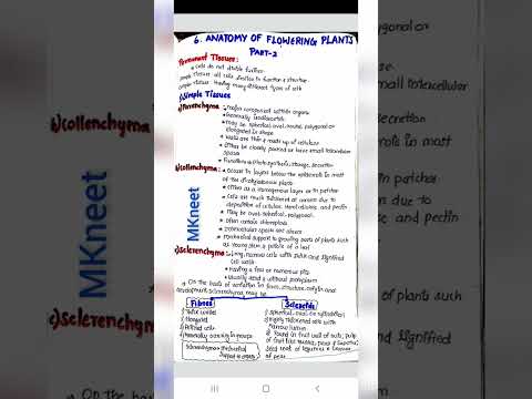Anatomy of flowering plants.Notes .Part_2#neet #neet2022 #neet2023 #neetbiology #shorts