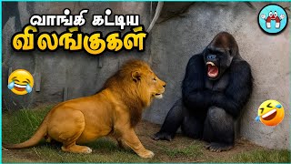 வம்பிழுத்து அடிவாங்கிய விலங்குகள் | Dumb Animal Fights | The Magnet Facts