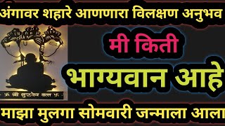स्वामींची आणि महादेवाची सेवा केली आणि सोमवारीच मुलगा झाला🥰खूप सुंदर स्वामी अनुभव🙏@swamisamarth2024|