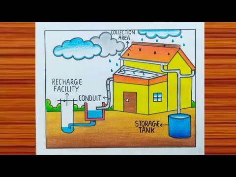 Rainwater Harvesting Project / Rainwater Harvesting Working Model / Rainwater Harvesting Drawing