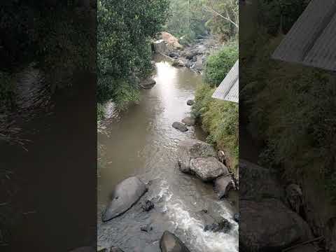river in the village #shorts