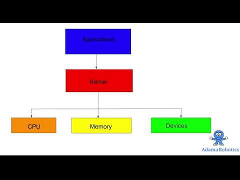 Operating Systems: What is the Kernel?