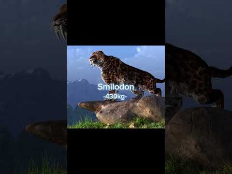 Scariest extinct animals #animals #extinction #mammoth #lion #barbarylion #smilodon #titanoboa