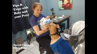How to Introduce Dogs and Baby