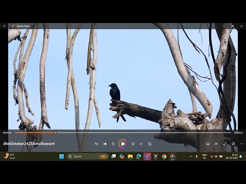 Silent film - visuals from Jihe