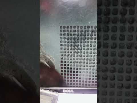Infinix display ic rebool #shorts