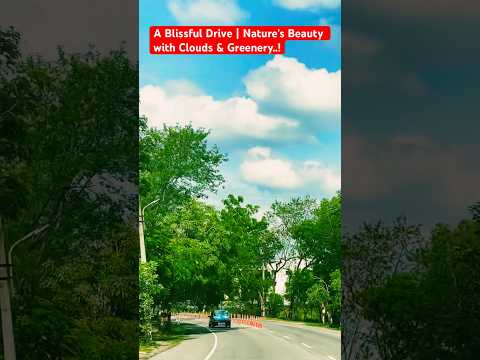 Refreshing Drive Through Nature 🌿☁️ #shortvideo #youtubeshorts #viral #shortsviral #naturelovers